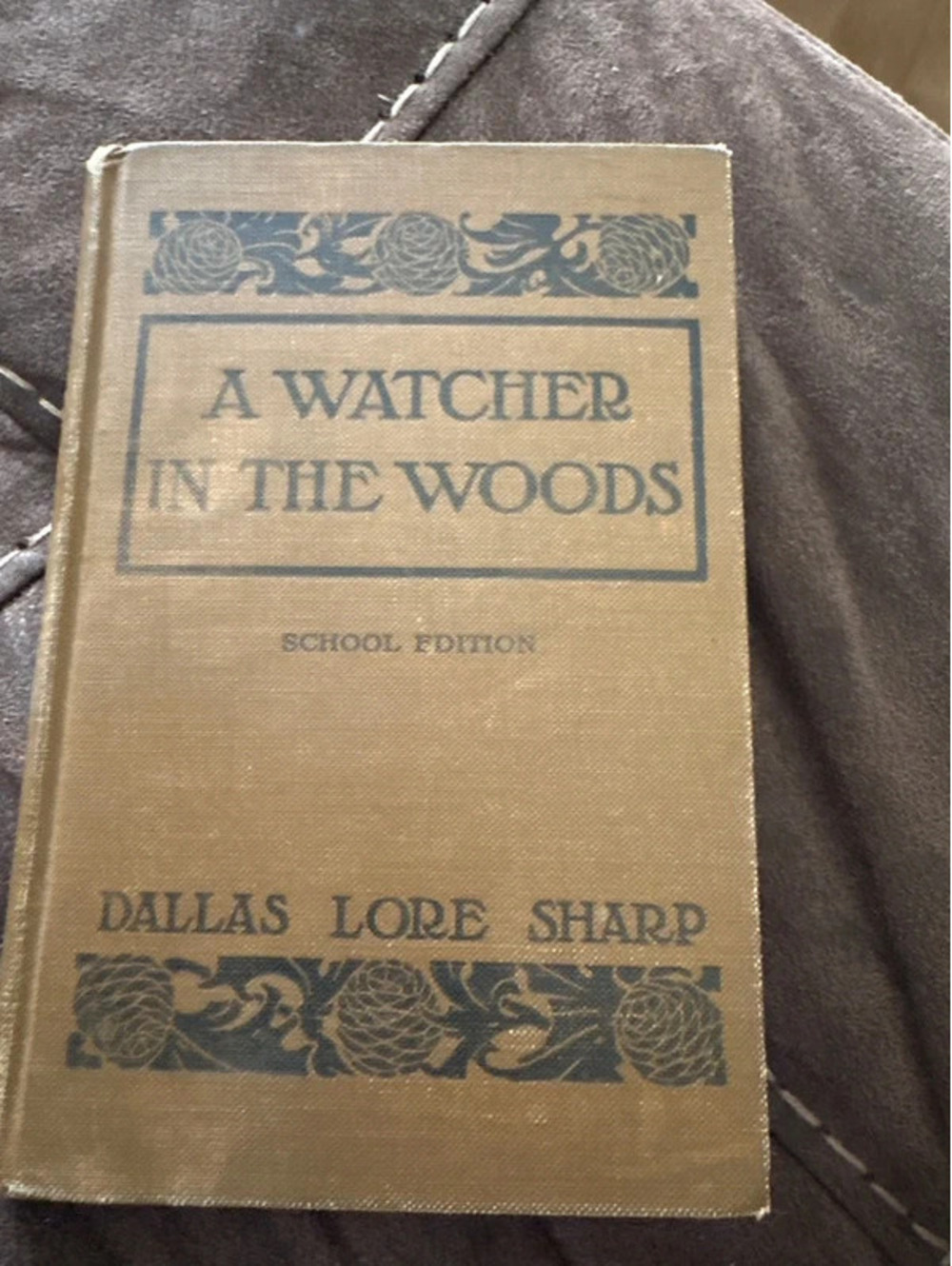 1922 "A catcher in the woods" school edition book